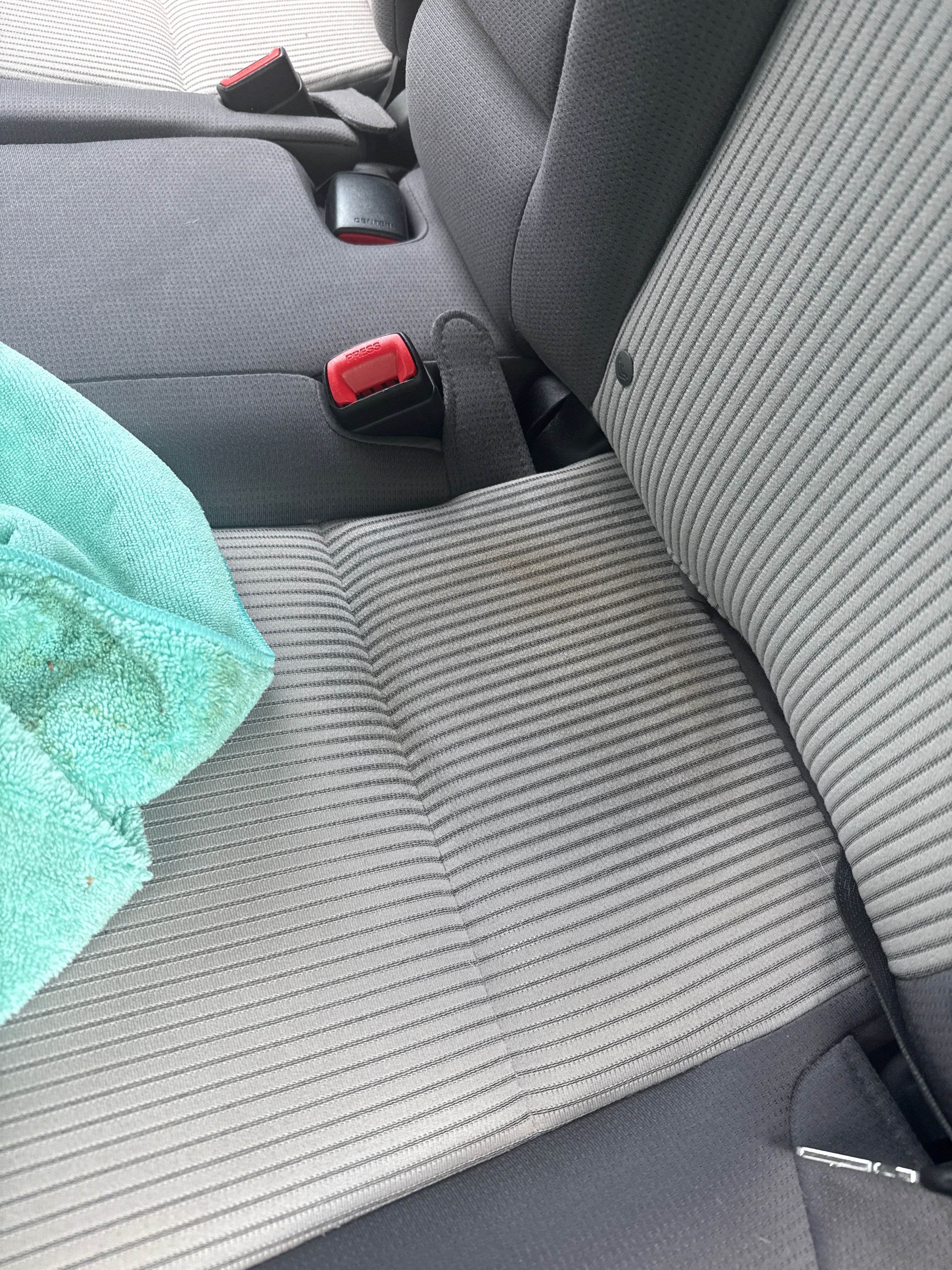 Same rear seat fabric, mold and staining fully removed