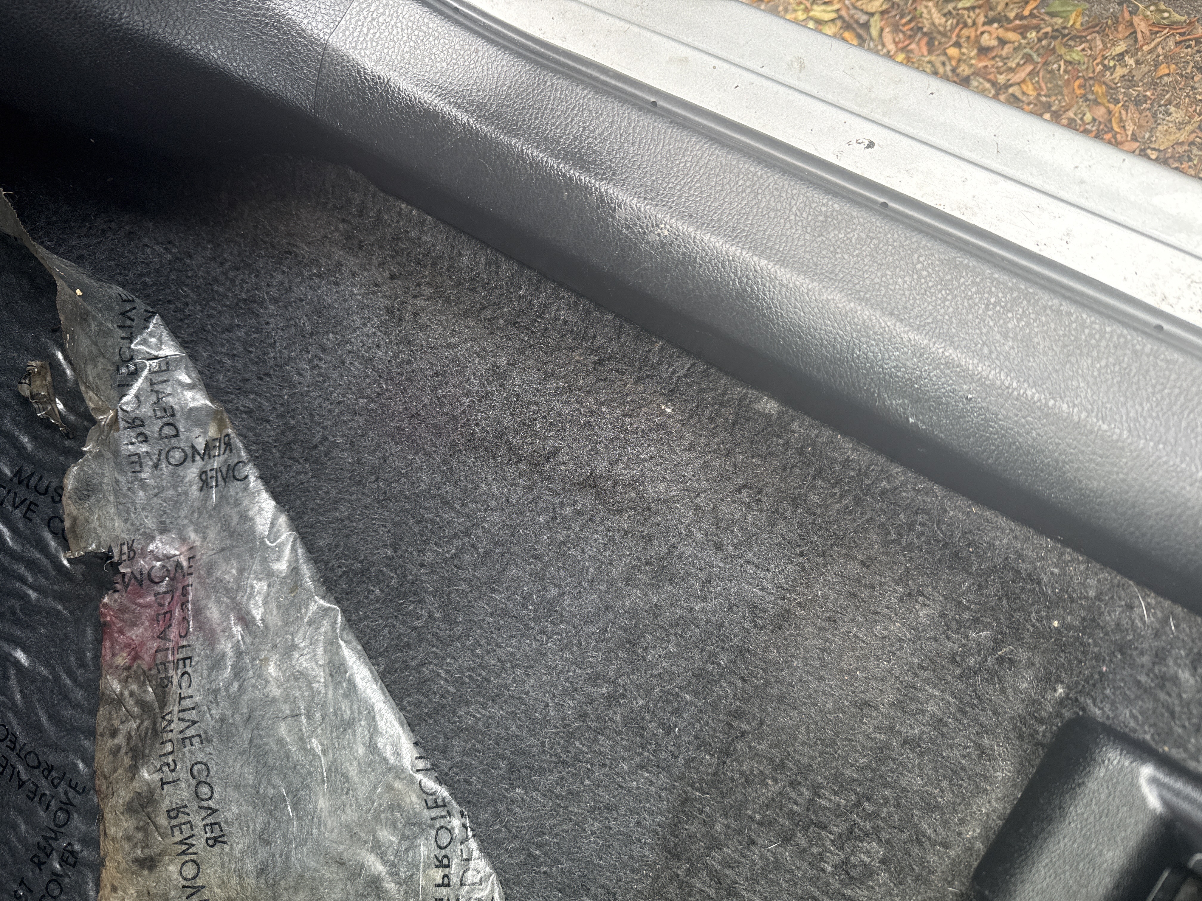 Same spot with liner pulled back, mold and moisture gone, carpet clean underneath