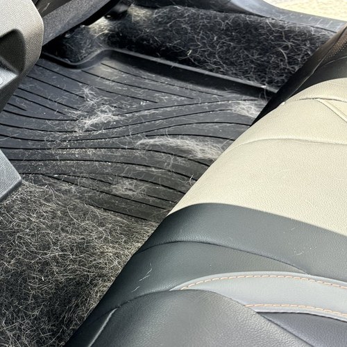 Close-up of dog hair across the rear rubber floor mat