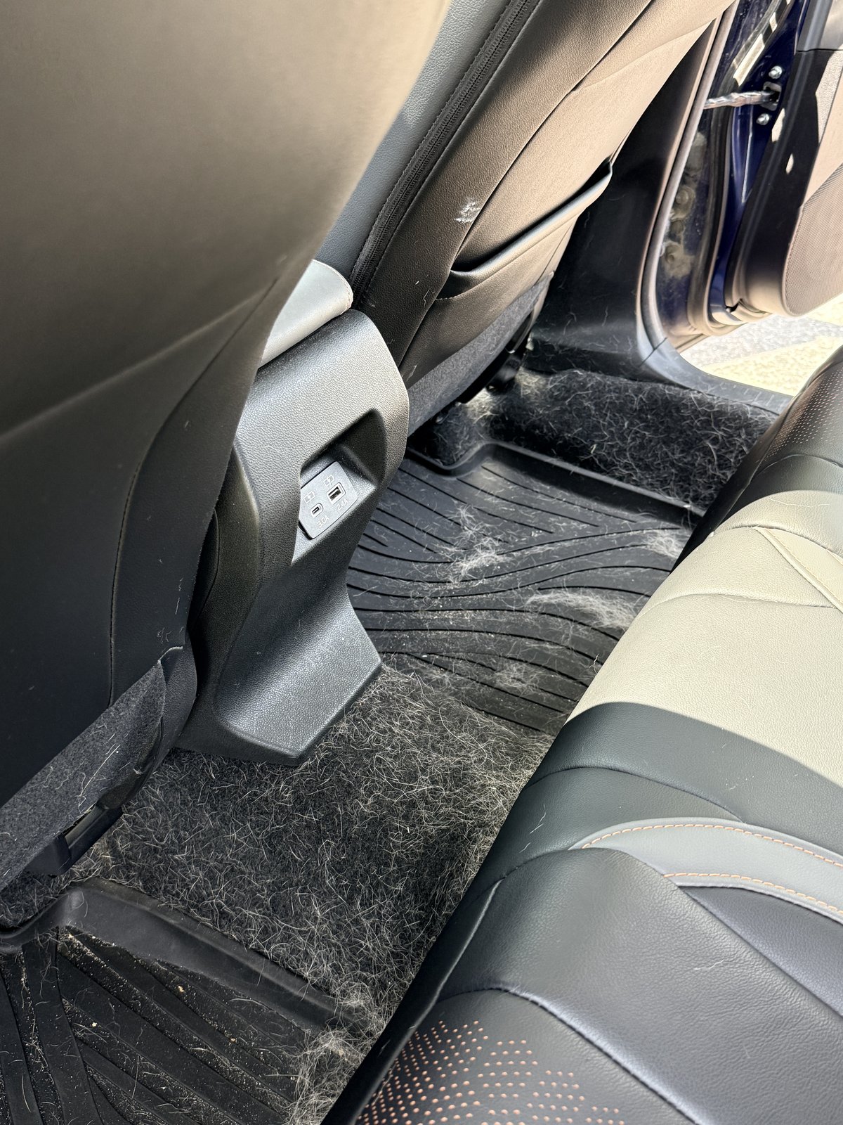 Subaru Crosstrek rear floor and seat packed with dog hair before detail