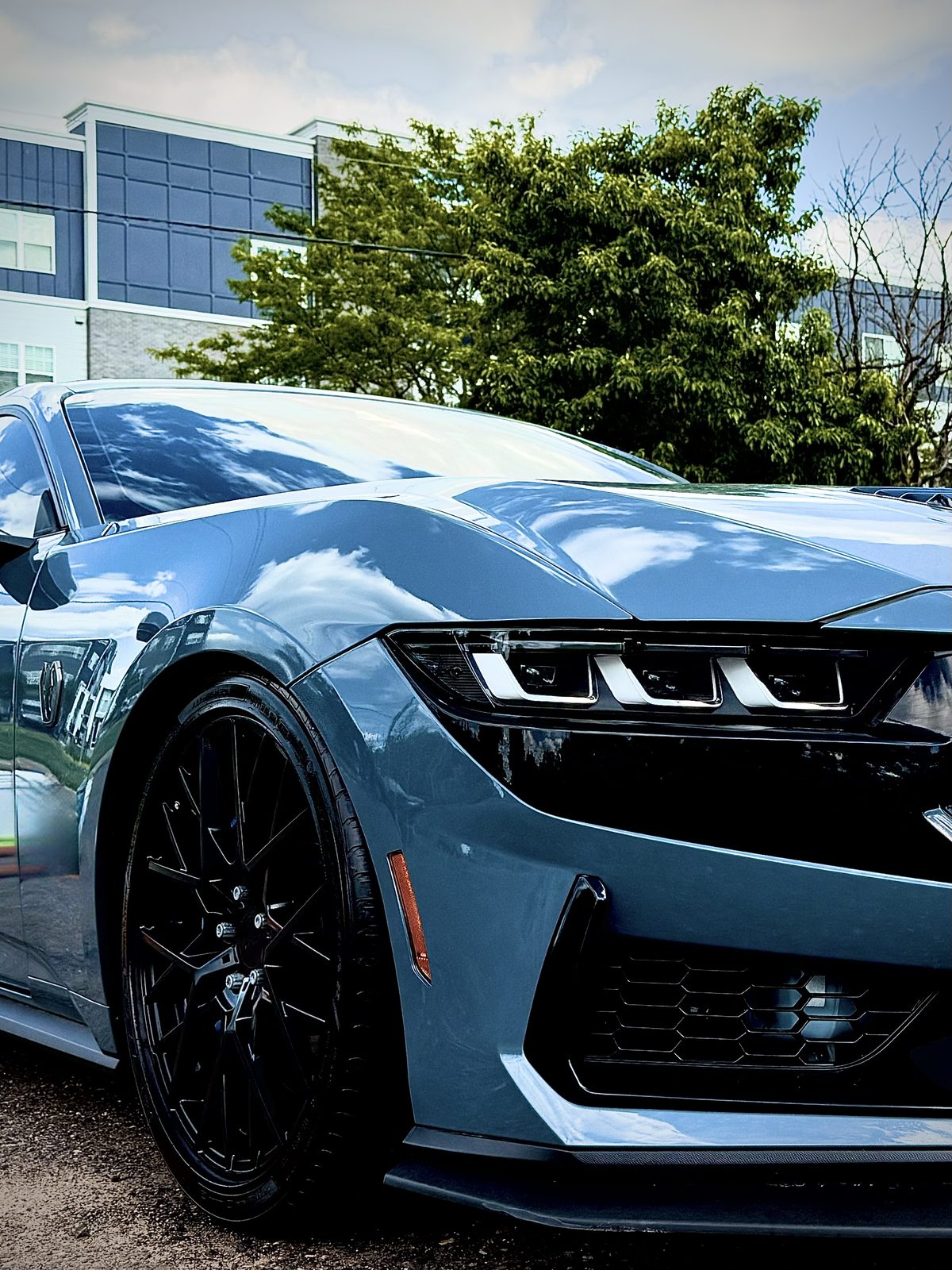 Detailed Mustang, front quarter panel